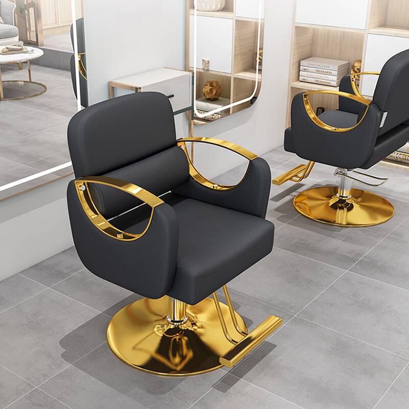 Solid Colour Styling Chair with Stainless Steel Frame, Closed Back, Adjustable Features, and Footrest